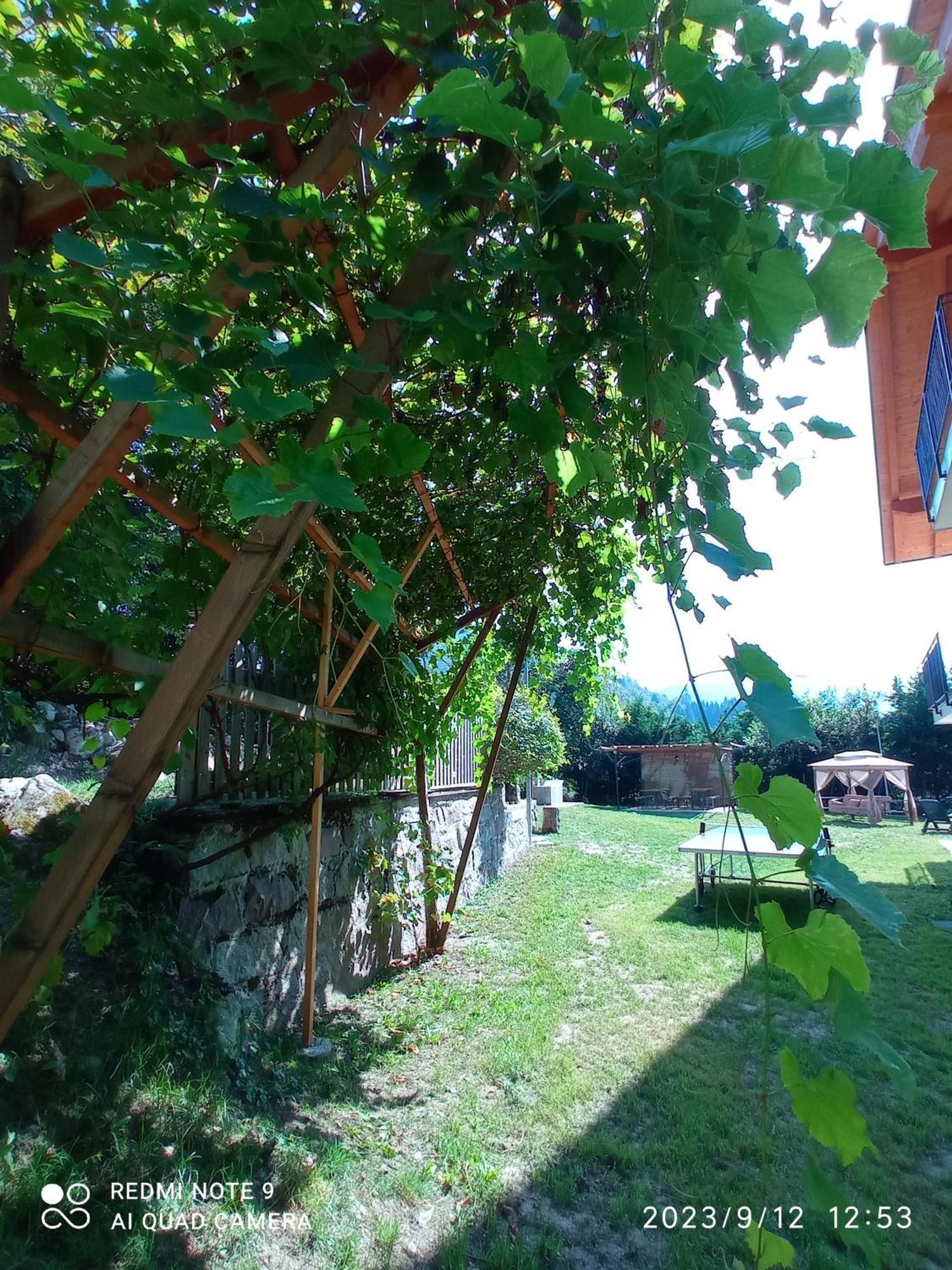 Baita Figliezzi Castello Tesino Extérieur photo